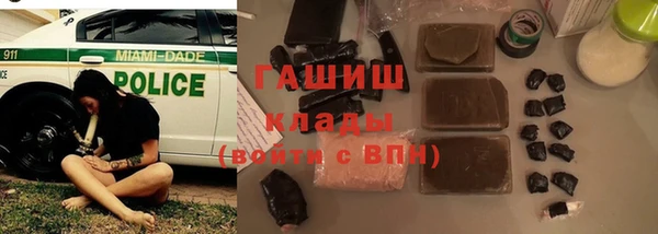 гидра Абаза