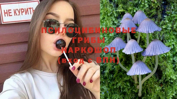 гидра Абаза