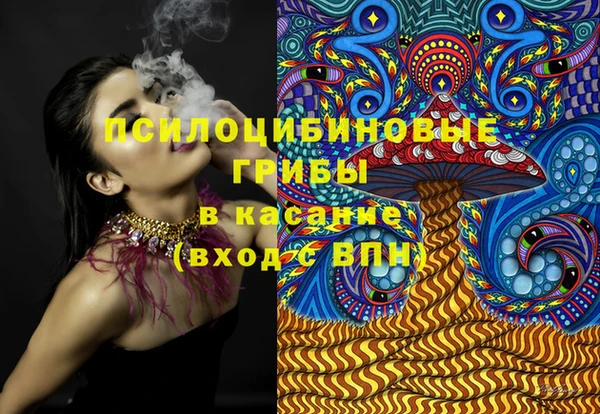 ешки Алзамай