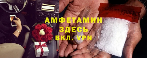 гидра Абаза