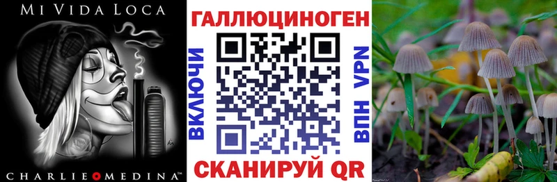 Псилоцибиновые грибы Psilocybine cubensis Гусь-Хрустальный